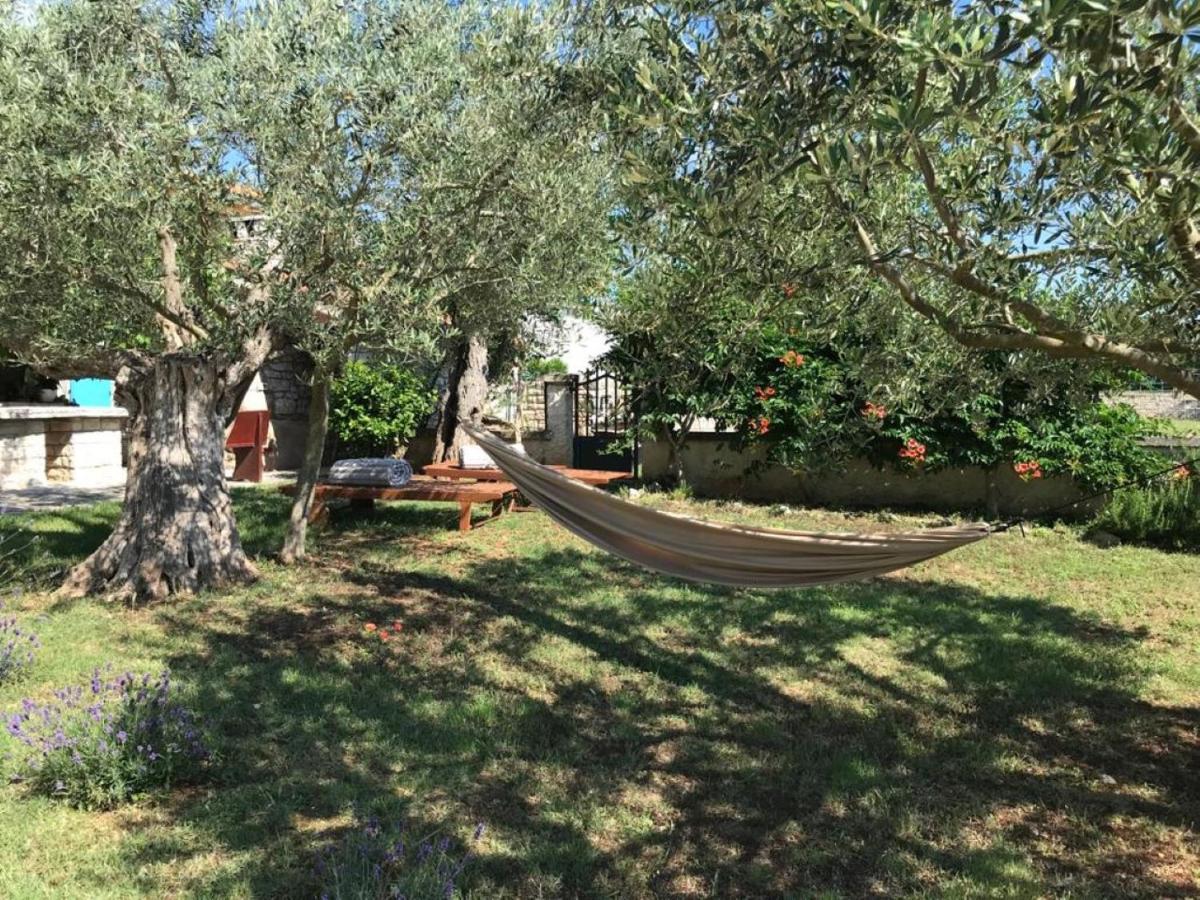 Farmhouse Cubani Бале Екстериор снимка