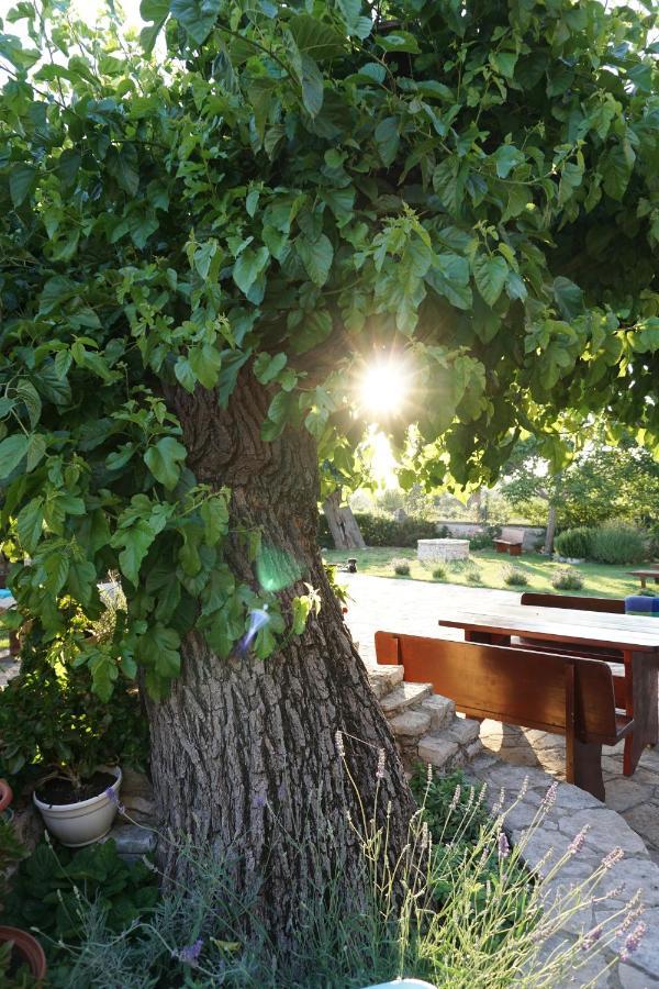 Farmhouse Cubani Бале Екстериор снимка